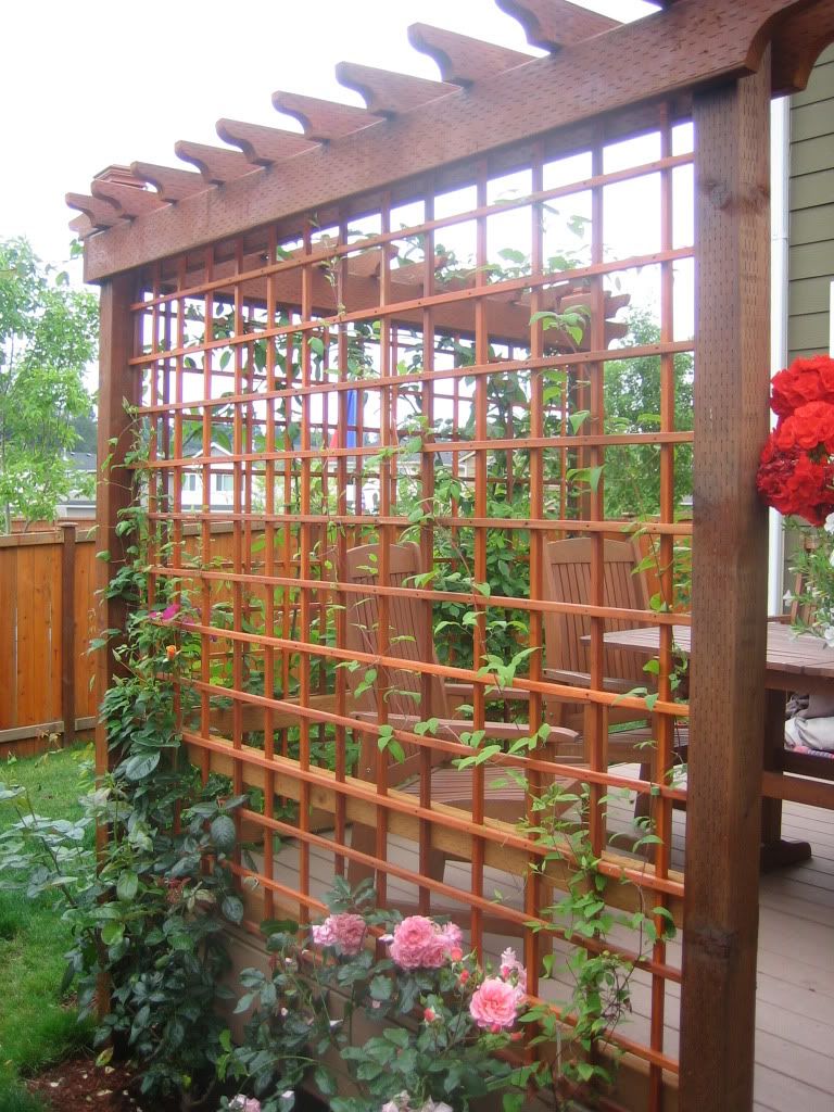 Horton Hacienda photo IMG_4875.jpg